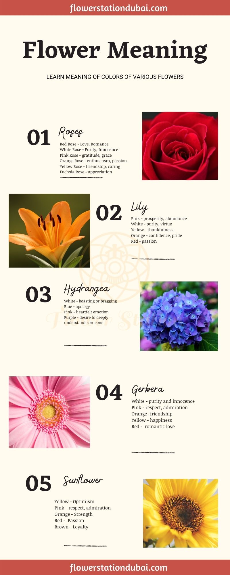 meaning of flower colors