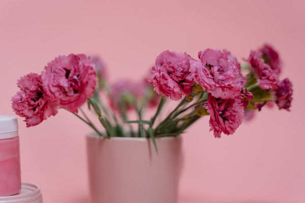 carnations