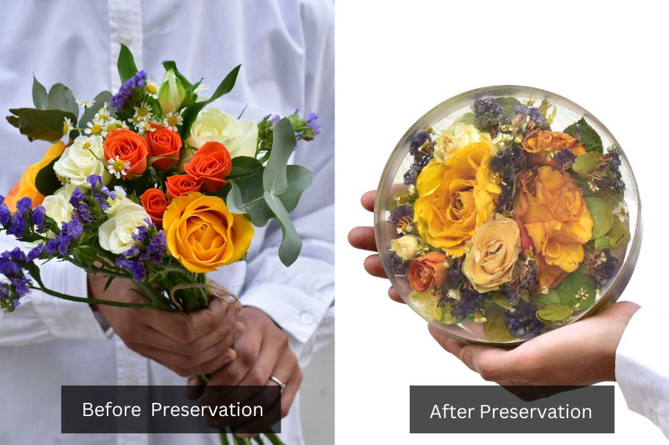 before and after photos of bouquet preservation