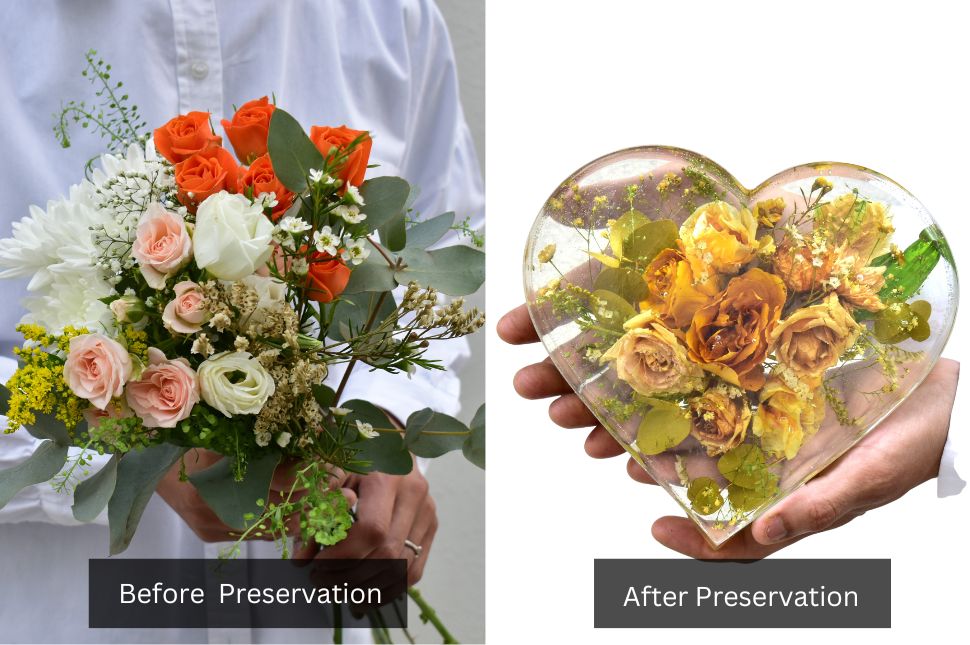 before and after photos of bouquet preservation