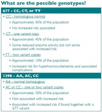 possiblegenotype