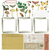 Curators Meadow 49 And Market Collection Pack 12"X12"