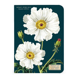 Cavallini & Co. Mini Notebook Sets Botany 3/Pkg