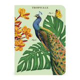 Tropicale Mini Notebook Set 3/Pkg Cavallini & Co.