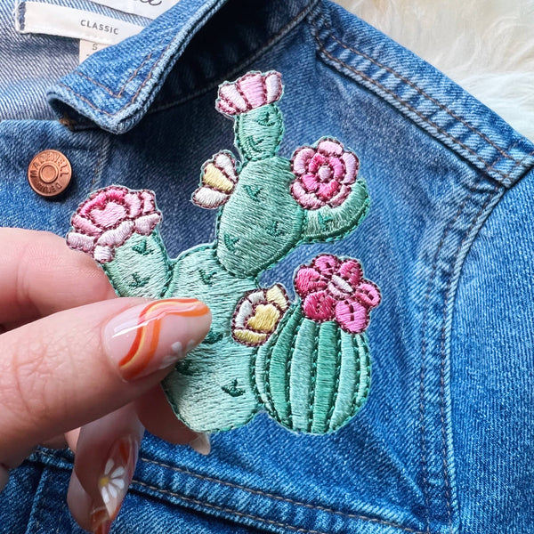 Prickly Pear Cactus Patch
