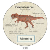 Paleontology Washi Tape Dinosaur Fossil Study Holic