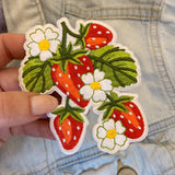 Strawberry Plant Patch Set of 2