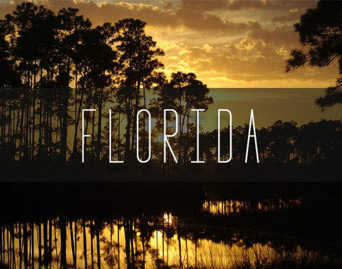 Florida Photography