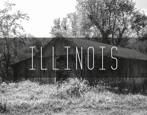Illinois Photography