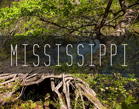 Mississippi Photography