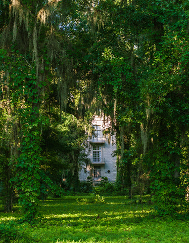 A mysterious house set in the forest, hidden by spanish moss, in Southern Louisiana