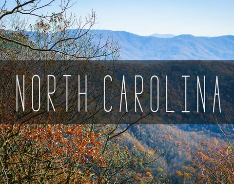 North Carolina Photography