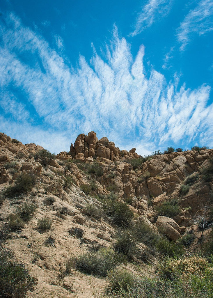 Mojave Desert Fine Art Nature Photography – Lost Kat Photography