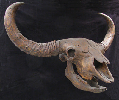 bison replica priscus replicas antiquus