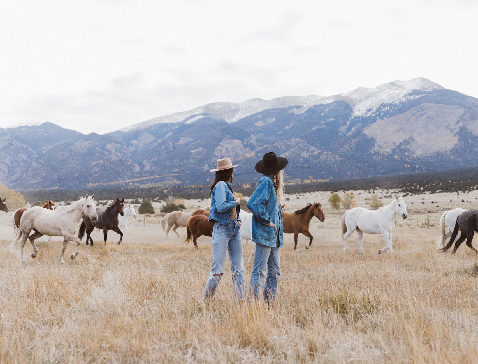View of foothills of colorado with horses roaming and two women observing the panoramic view.