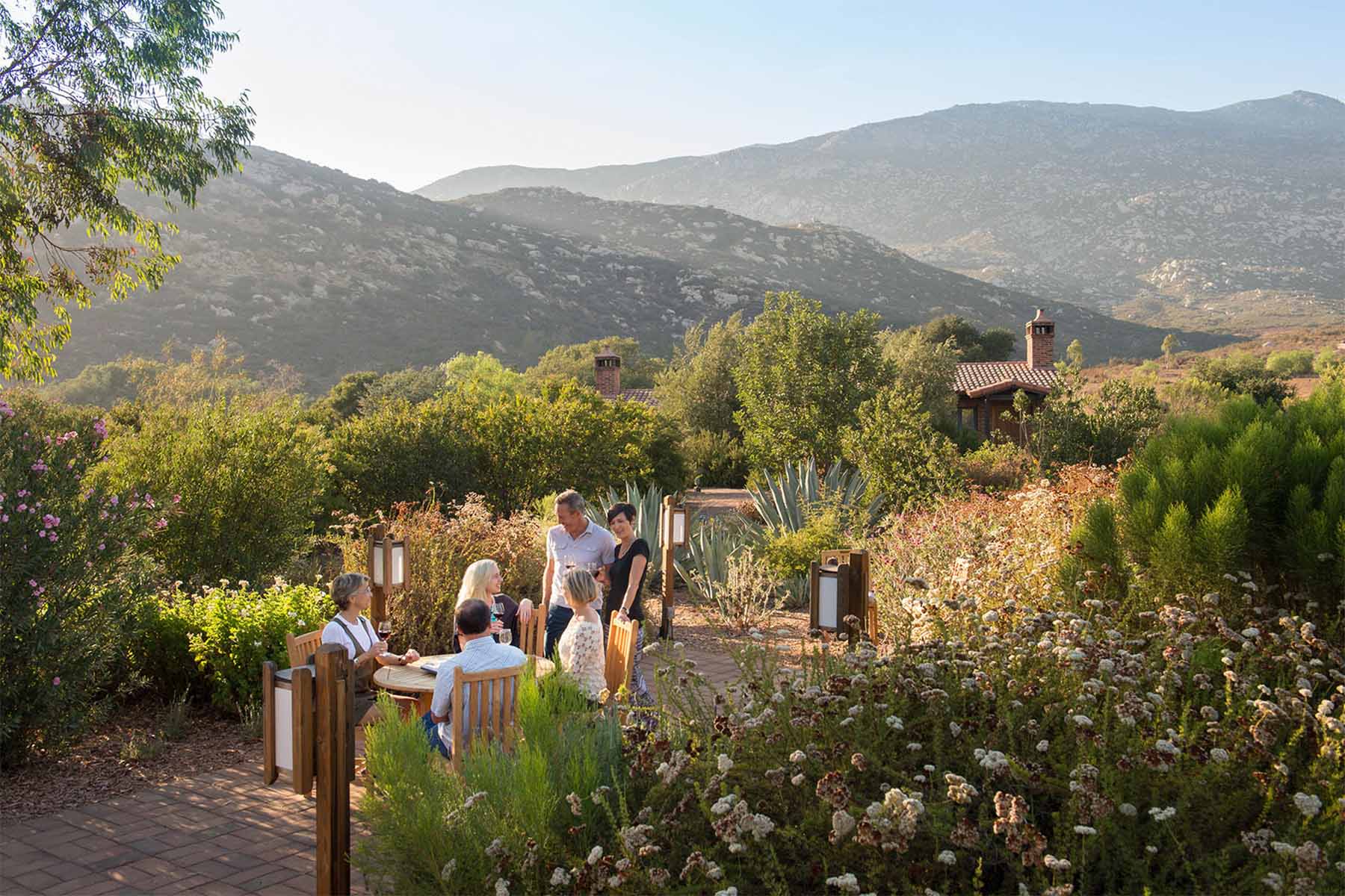 Foothills view from Rancho La Puerta Resort