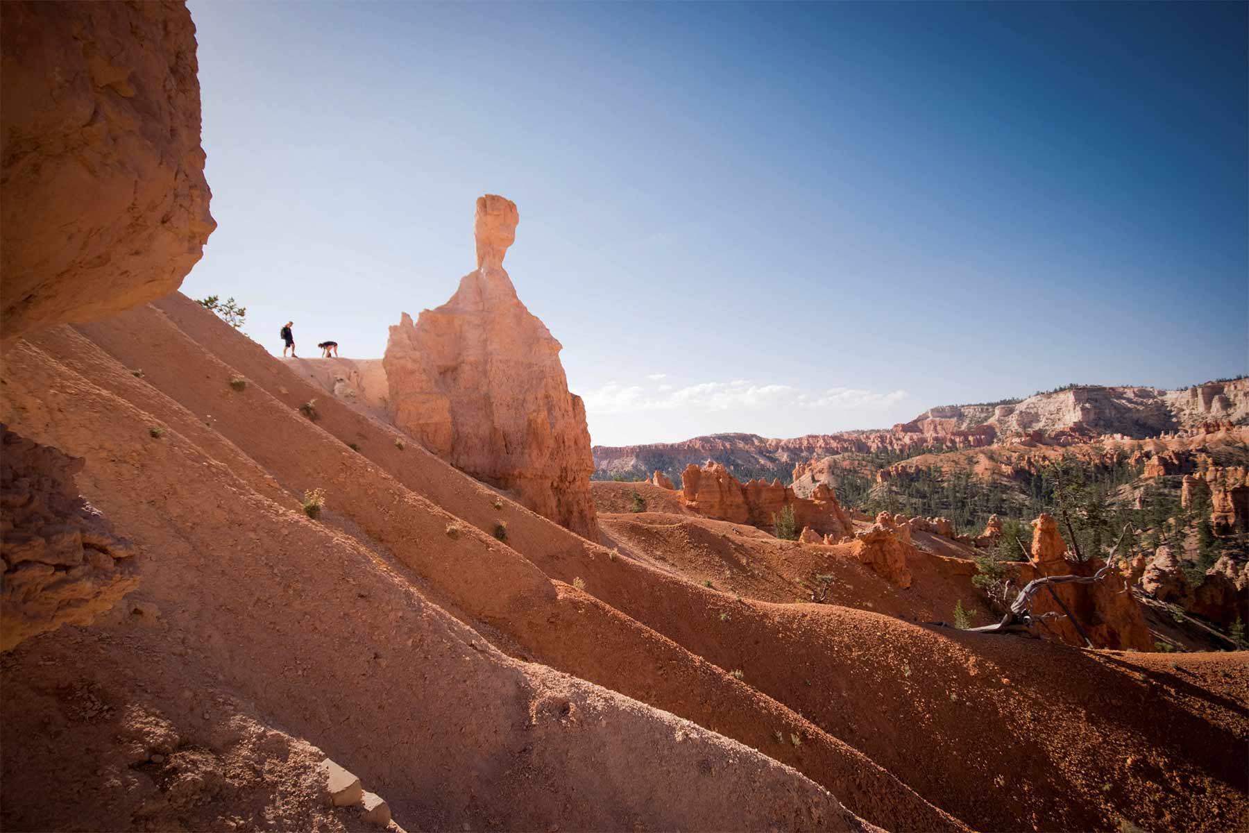 Bryce Canyon Park Utah