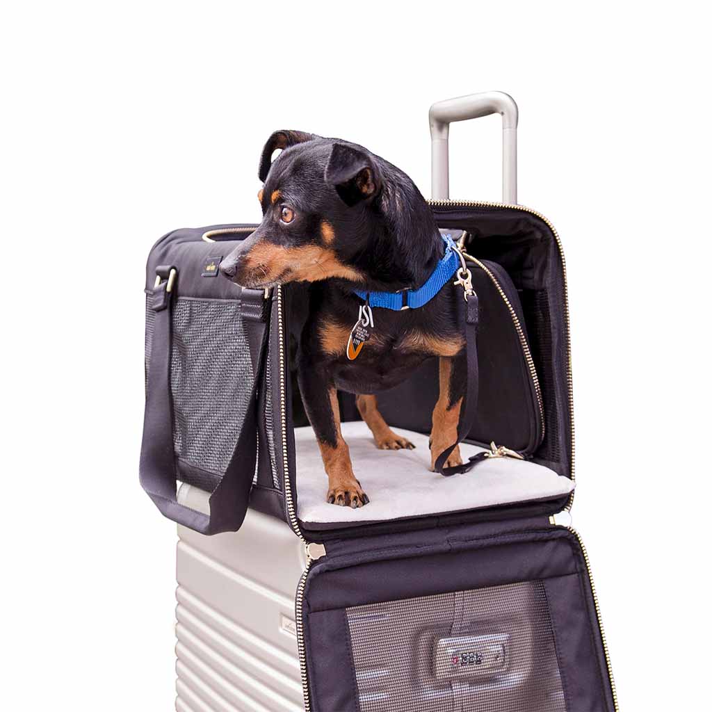 pet suitcases