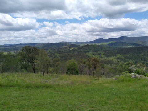 Mt. Perry lookout