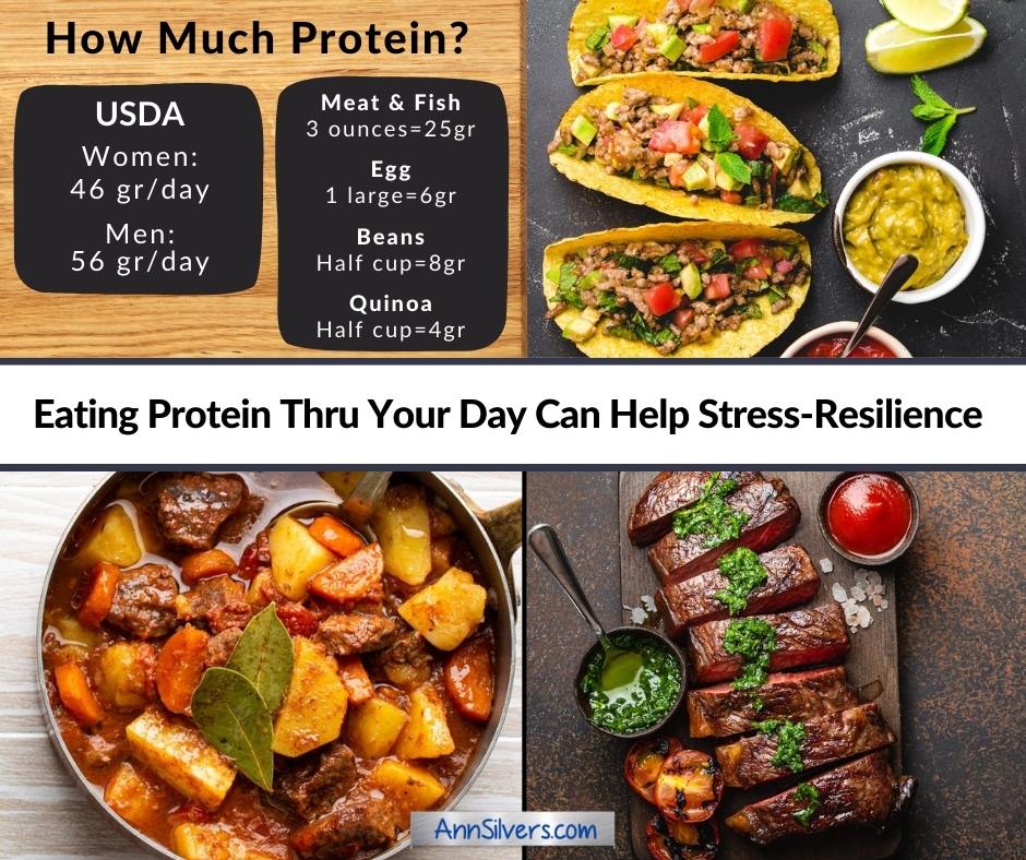 eat protein for stress resilience