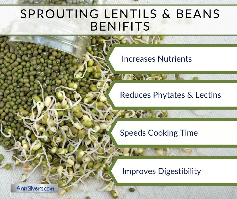 the benefits of sprouting lentils and beans for mental health