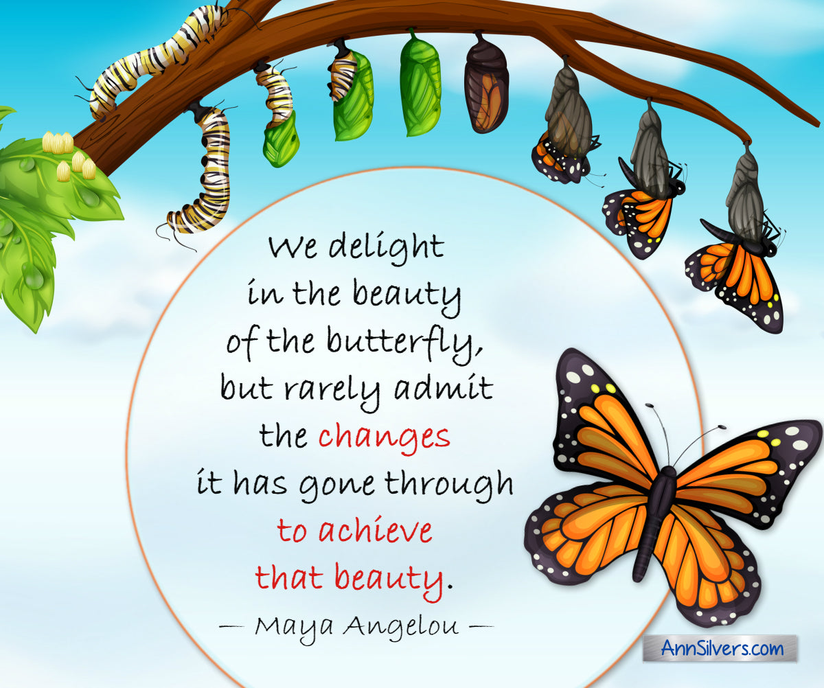 We delight in the beauty of the butterfly, but rarely admit the changes it has gone through to achieve that beauty. Maya Angelou quote about change