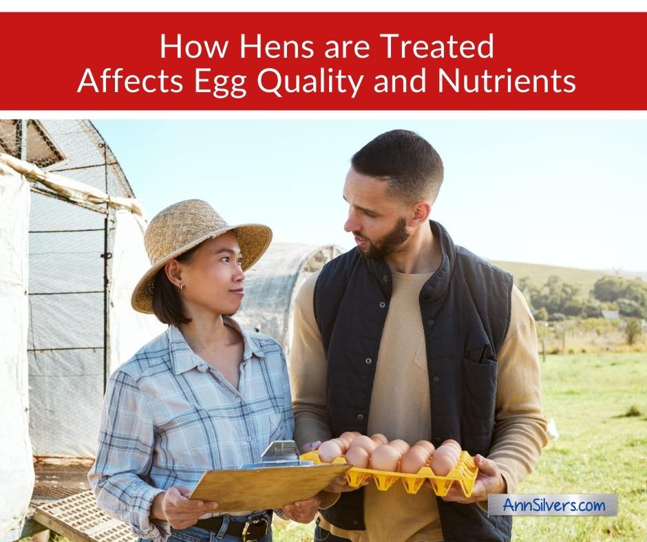 How hens are treated affects egg quality and nutrients