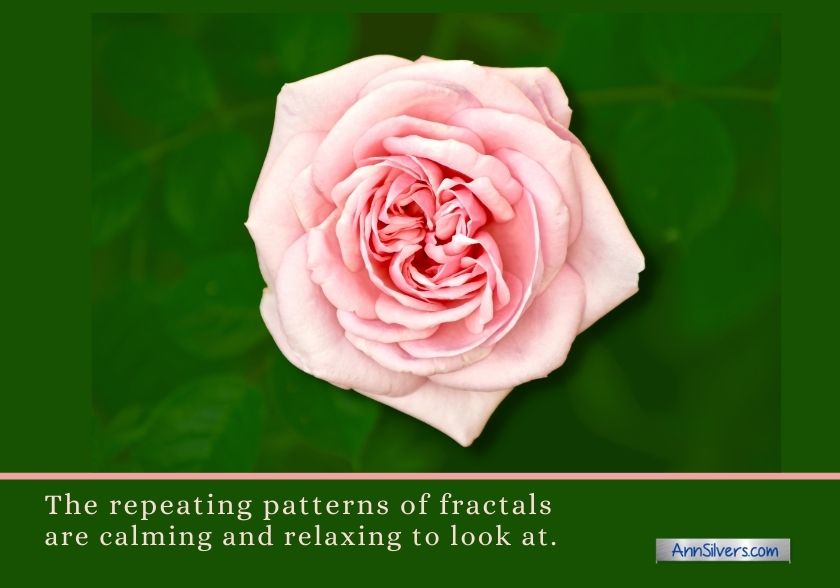 examples of calming fractals in nature image