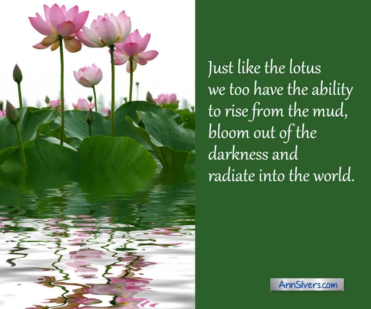 Just like the lotus we too have the ability to rise from the mud inspiring quote