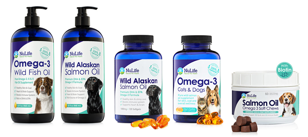 IS FISH OIL GOOD FOR DOGS