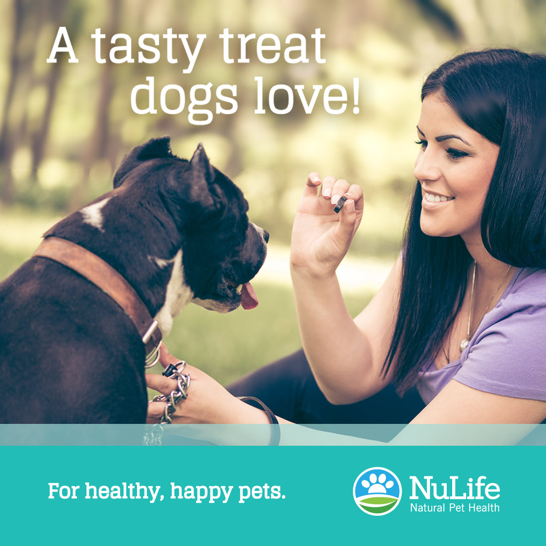 salmon oil chews for dogs