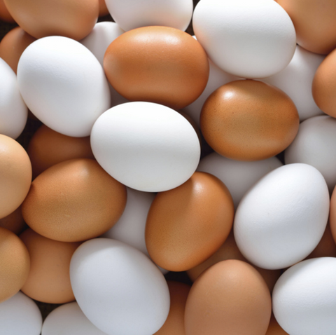 White and Brown Eggs