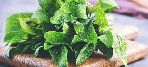 A bunch of sage leaves