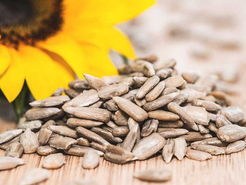 a pile of sunflower seeds