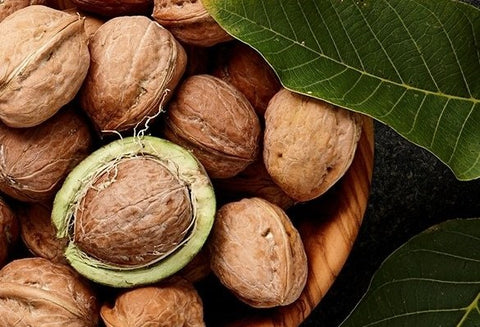 a bowl of walnuts with leaves