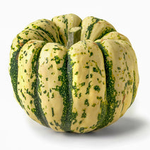 Squash Sweet Dumpling Seed Nav Image 2