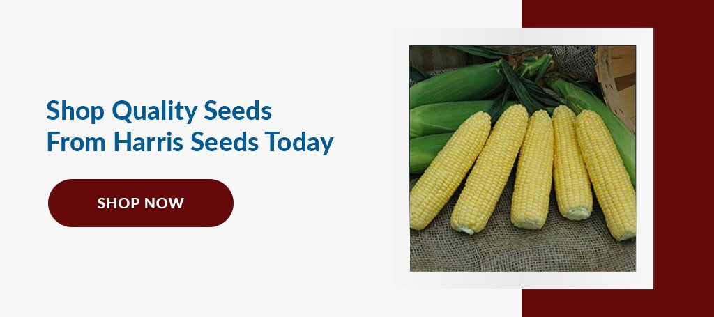 Shop Quality Seeds From Harris Seeds Today