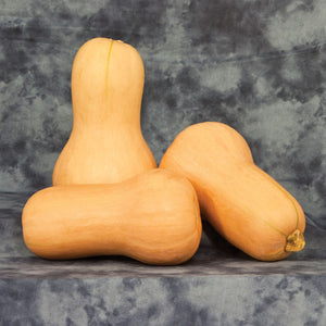 Squash Betternut 900 F1 Farmore Seed