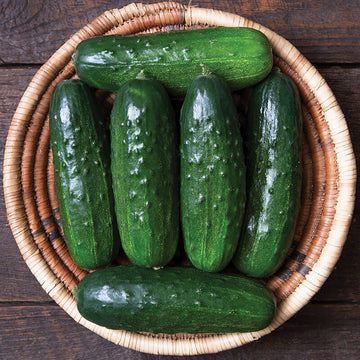  Park Seed Mini-Me F1 Organic Cucumber Seeds, Snack-Size Mini  Cucumbers, Pack of 10 Seeds : Patio, Lawn & Garden