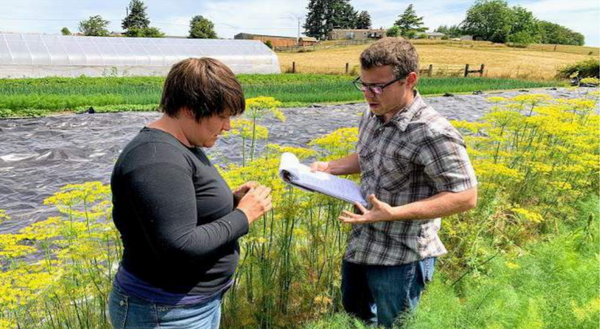 Growing Farmers