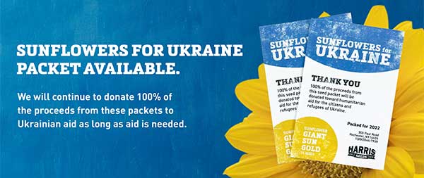 Sunflowers for Ukraine Packet