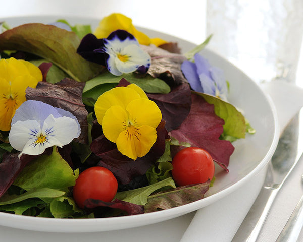 Edible Flowers in Salad