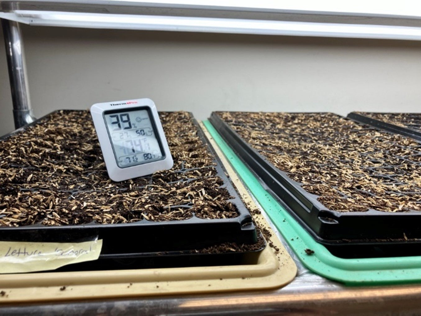 germination temperature