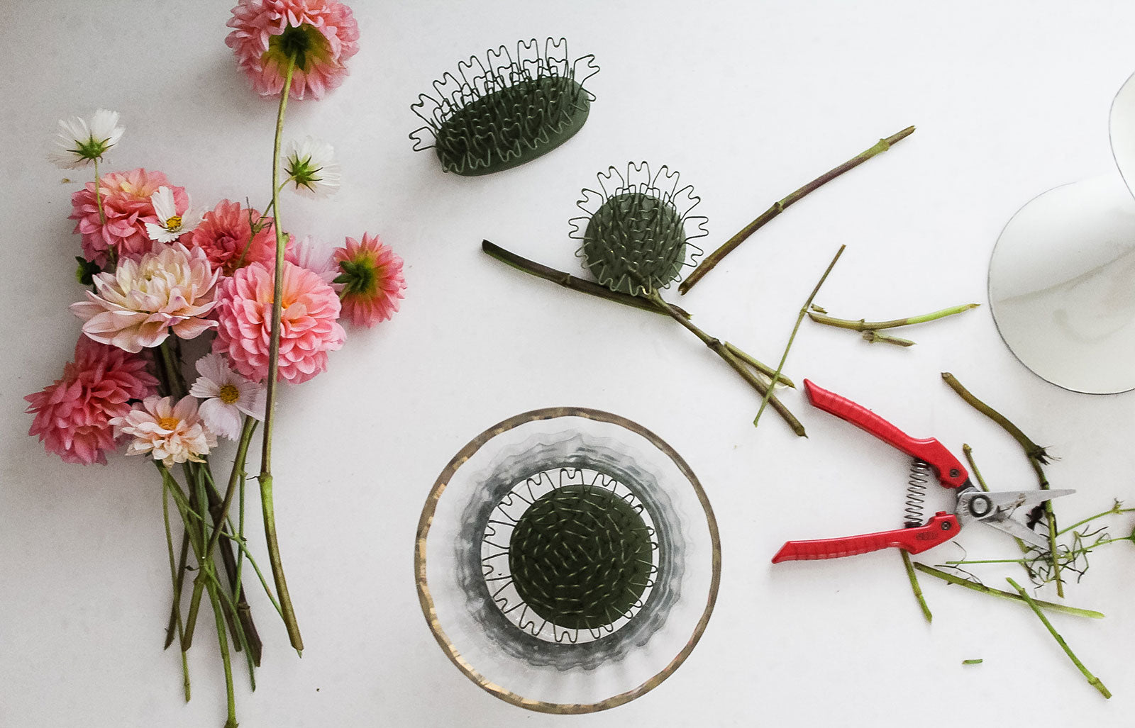 harvesting cut flowers