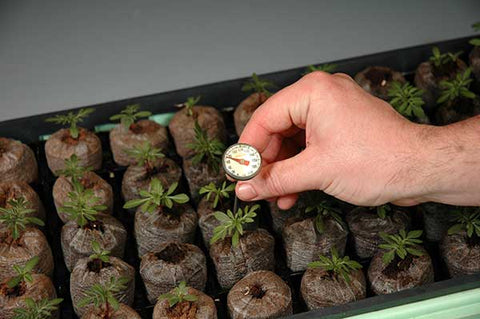 How to Use a Soil Thermometer for More Reliable Seed Germination