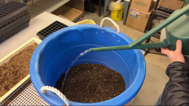 water potting mix