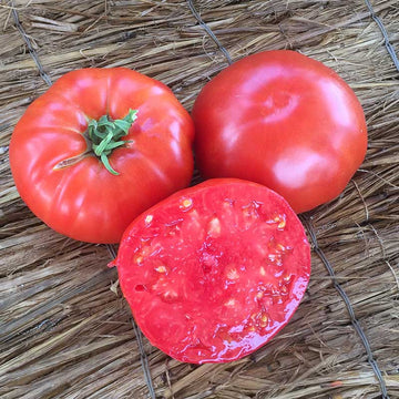 Tomato Brandywine Red Seed – Harris Seeds