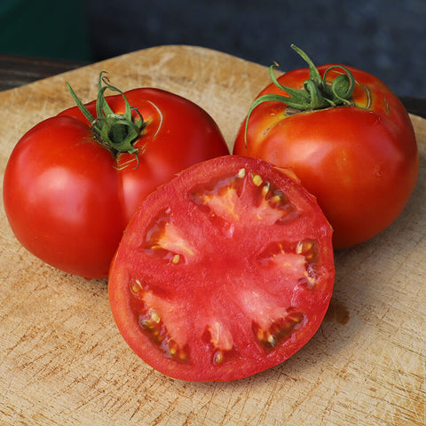 Tomato Brandywine Pink Seed – Harris Seeds