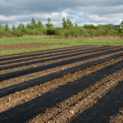 Black Plastic Mulch 4 X 2000 Harris Seeds   05086 1024x1024 