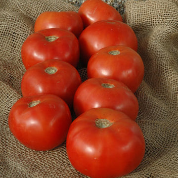 Jet Star Hybrid Tomato Seeds – Hometown Seeds